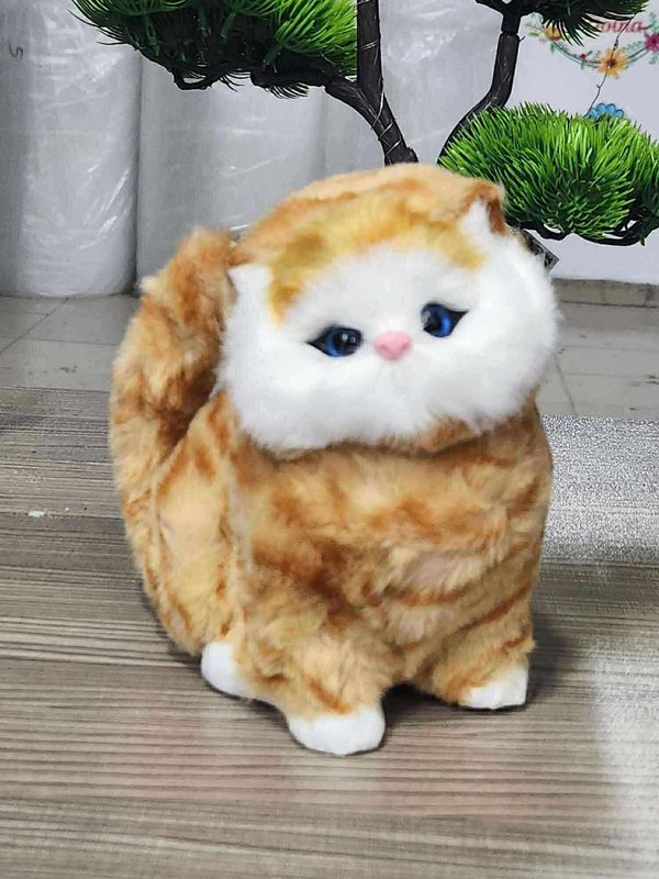 Cat toy