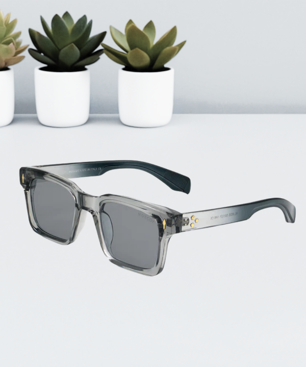 Dior Stylish Sunglass || D025A