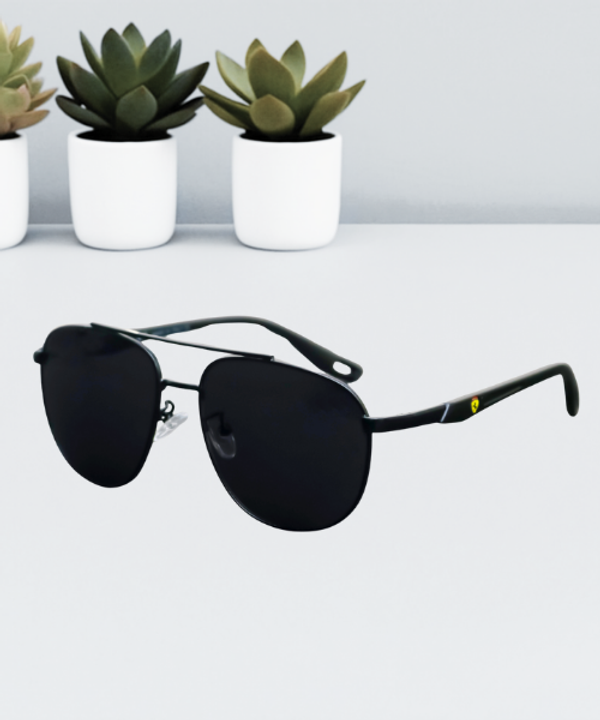 Ray-Ban Stylish Pilot Sunglass
