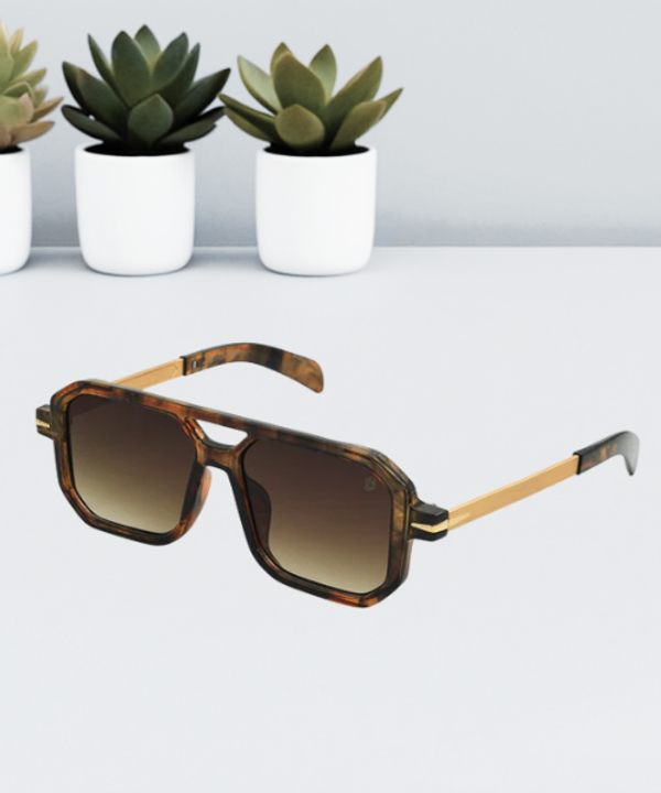 DAVID BECKHAM Sunglass | DB 01BR