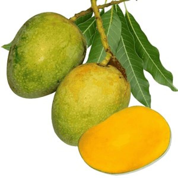 Mango Gopal Bhog 1kg