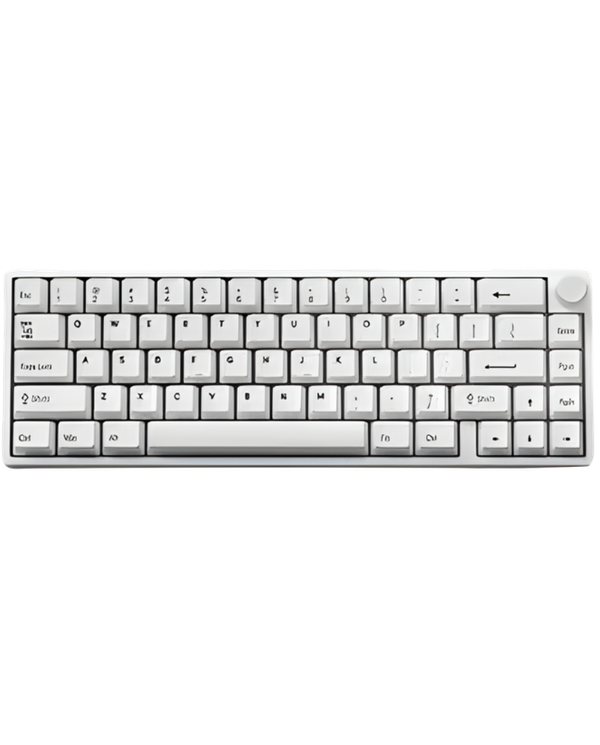 EWEADN C65 V2 Wired Gasket hotswappable mechanical keyboard