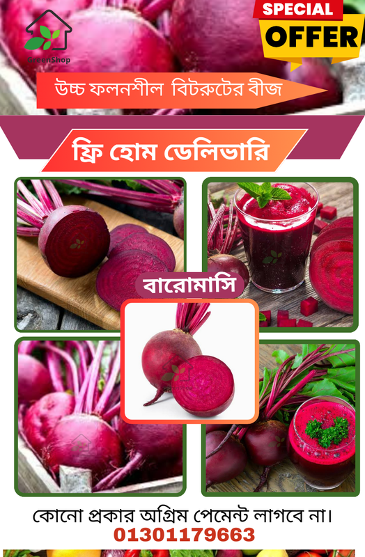উচ্চ ফলনশীল জাতের বারো মাসি বিটরুটের বীজ