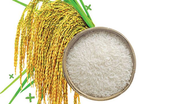 চিকন চিনিগুড়া চাল (সোনালী)