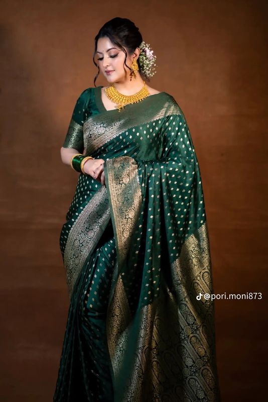জরী কাজের কাতান শাড়ি