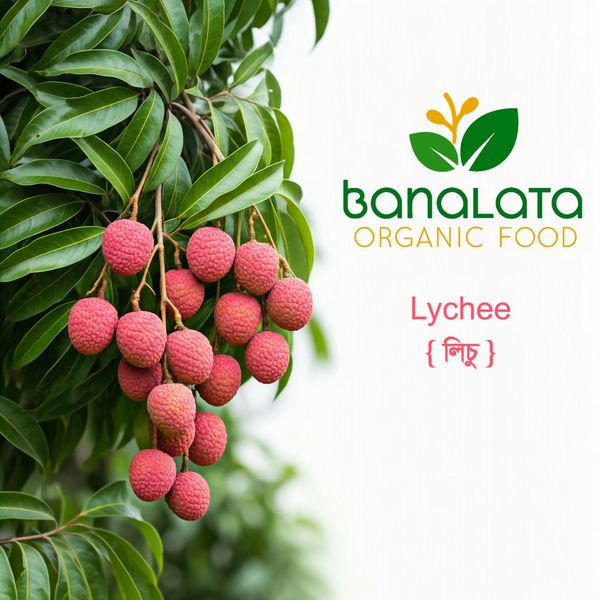 লিচু ১০০ পিচ