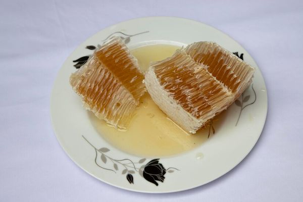 পাহাড়ি মধু