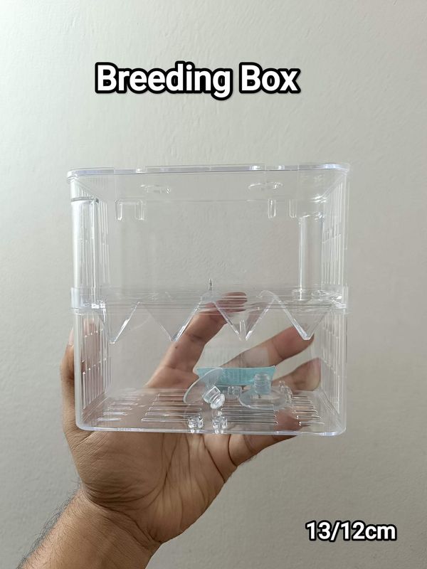 fish breeding box L size