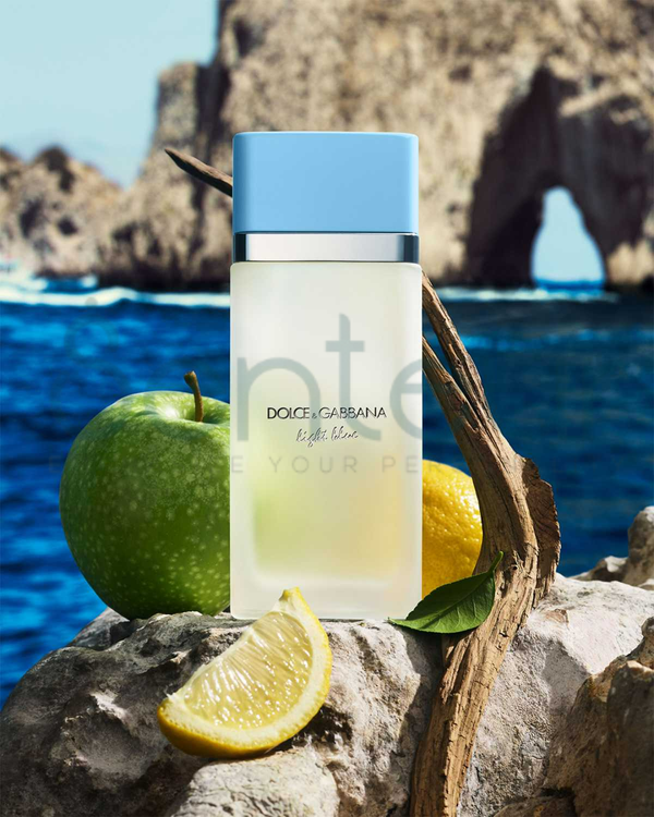 Dolce & Gabbana Light Blue EDT Female