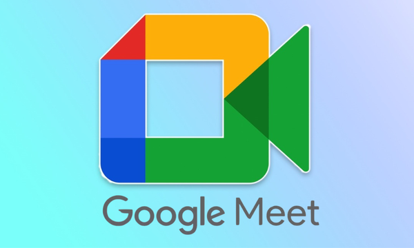 500 Participant Google Meet 6 Month