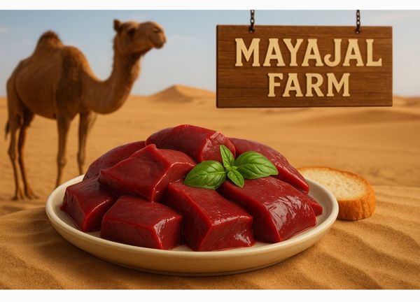 Organic Camel Liver / Kaleji