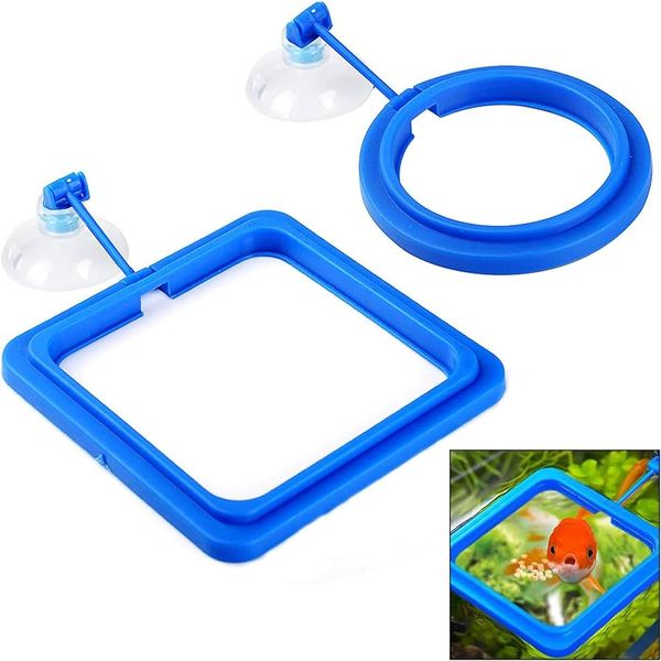 Fish feed ring