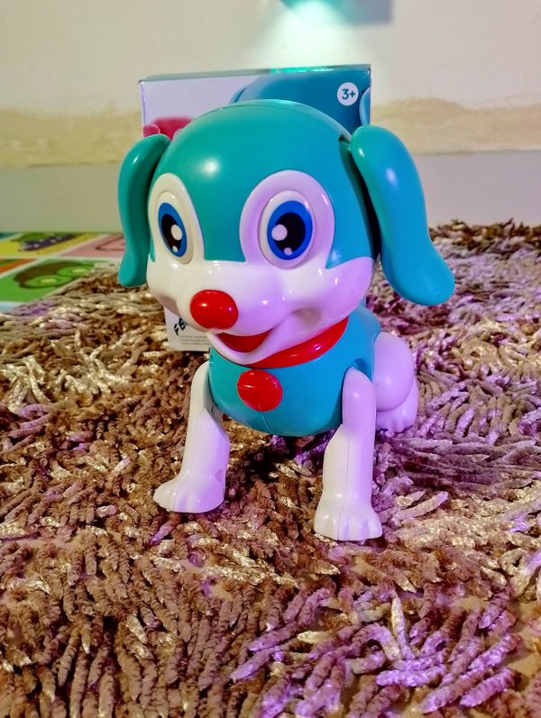 Dancing Dog