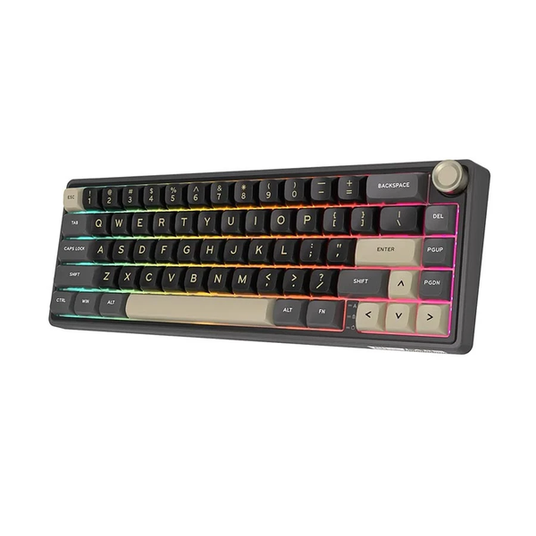 Royal Kludge RK R65 Wired RGB Hot Swap Mechanical Gaming Keyboard