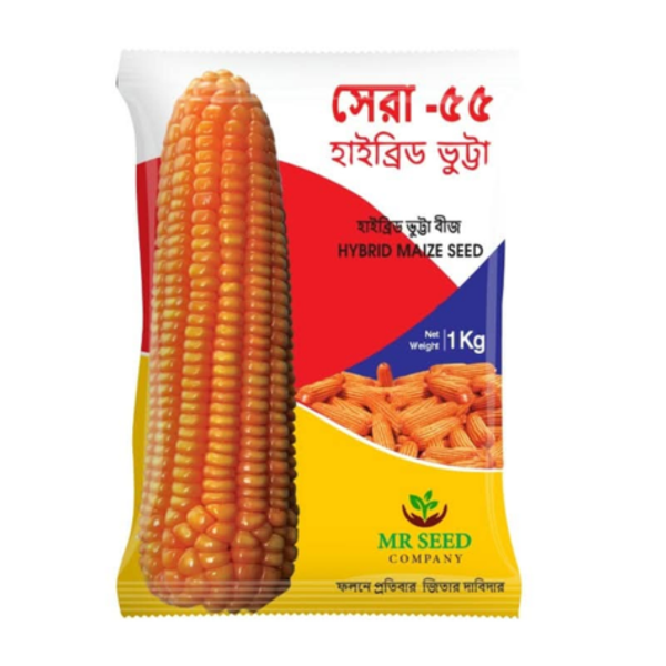 হাইব্রিড ভুট্টা সেরা ৫৫ । Hybrid Maize Sera 55
