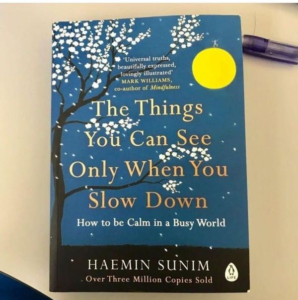 The Things You Can See Only When You Slow Down by Haemin Sunim