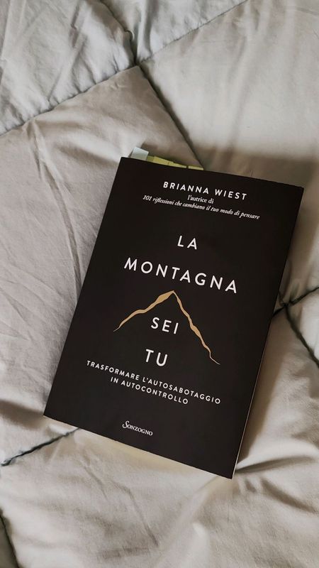 The Mountain Is You by Brianna
