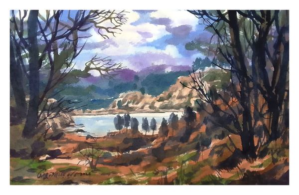Tranquil Wilderness
