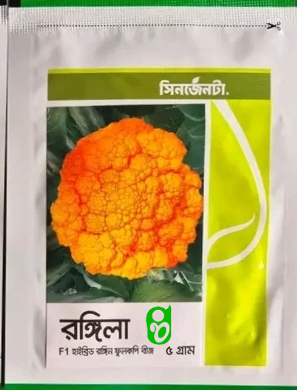 হলুদ কালারের রঙিন ফুলকপি রঙ্গিল। Yellow colored cauliflower rangeela