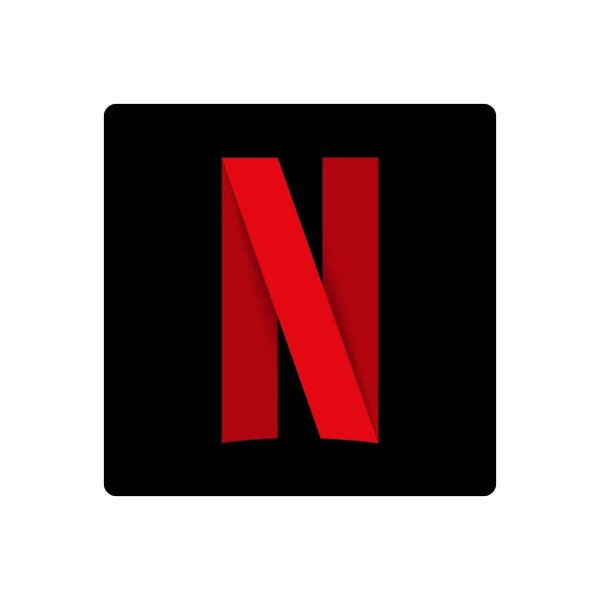 Netflix Subscription