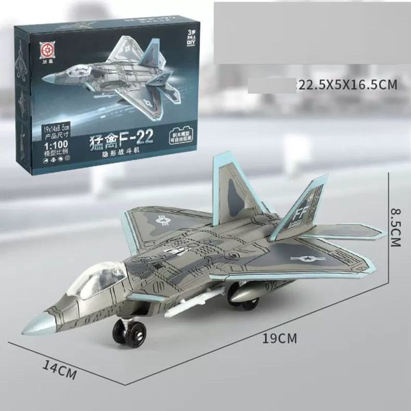 1:100 DIY F-22 Model