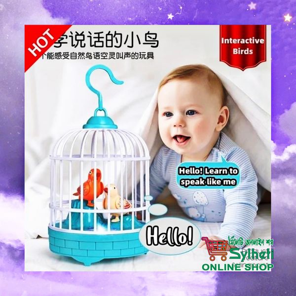 Dancing & Talking Bird Toy
