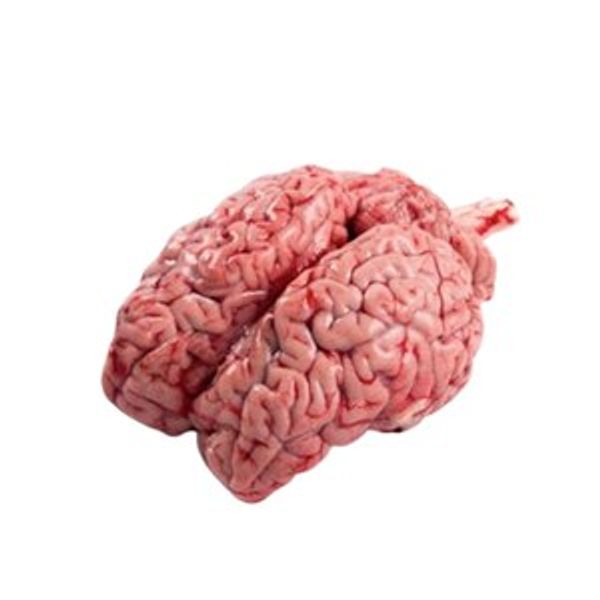 Khashir Mogoj ( Mutton Brain ) 1 Pc
