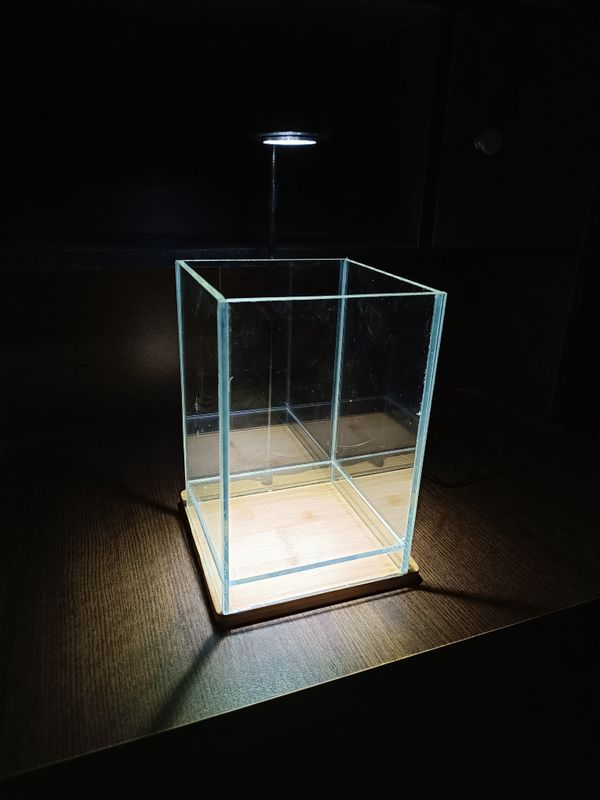 6/6/9 ADA style cristal glass