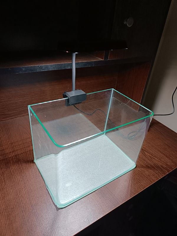 Curved glass fish tank (10x6x7)
