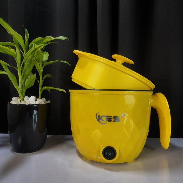 Mini Multi-functional Double Layer Electric Cooking Pot 1.8L - Ramdom Color