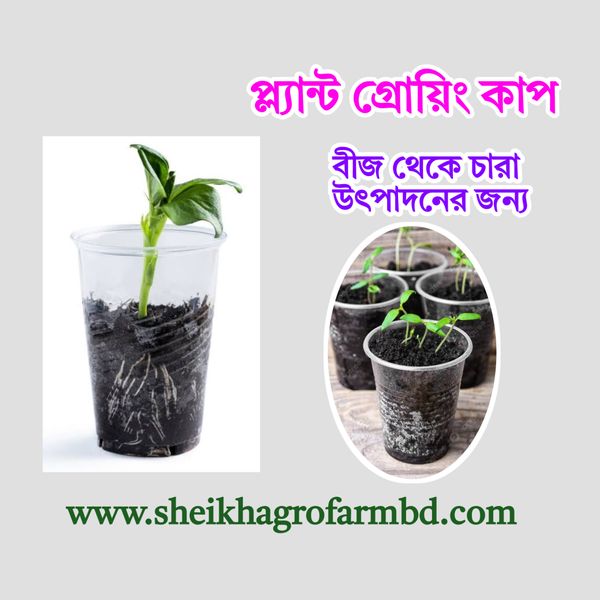 প্ল্যান্ট গ্রোয়িং কাপ