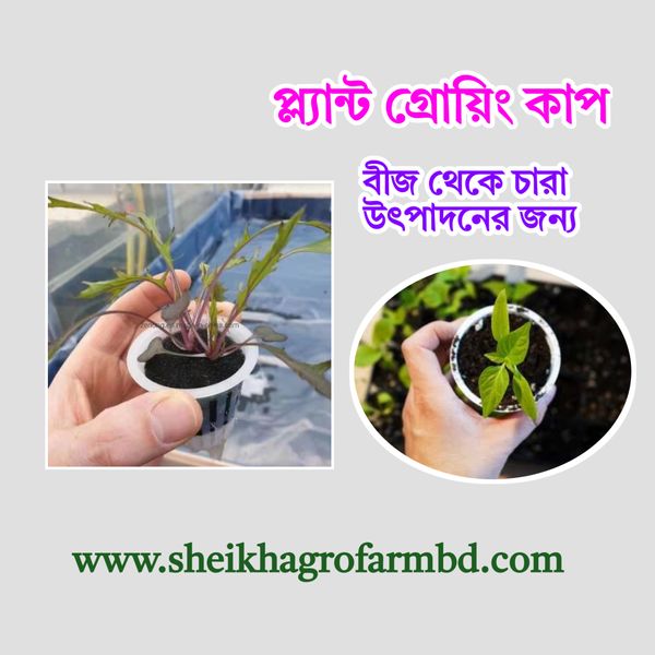 প্ল্যান্ট গ্রোয়িং কাপ