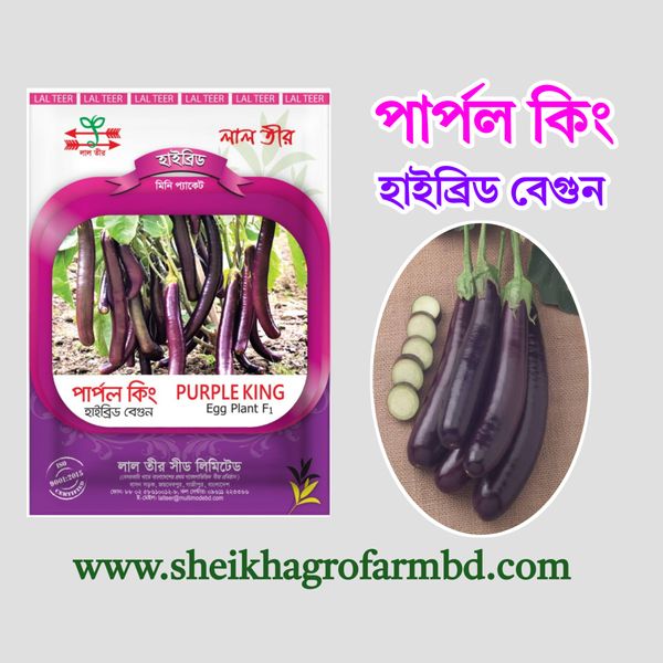 পার্পল কিং (হাইব্রিড বারোমাসি বেগুন)- মিনি প্যাকেট