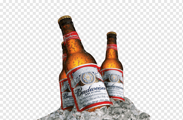 BUDWEISER BOTTLE