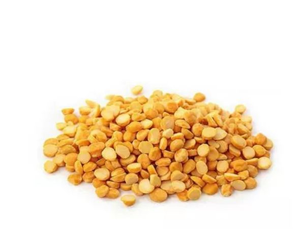Boot Dal 500 gm