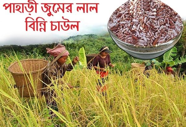 লাল বিন্নি চাল