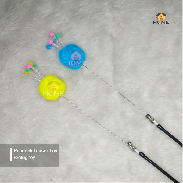Teaser toy
