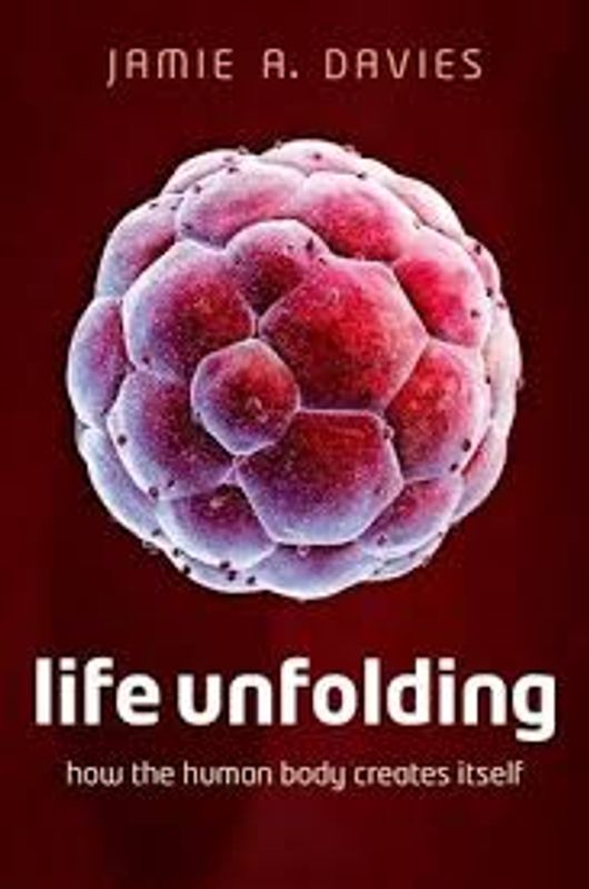 Life Unfolding: How the human body creates itself