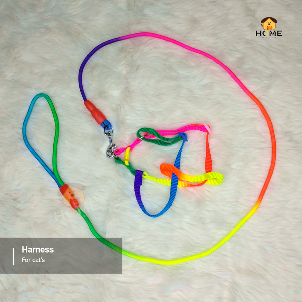 Harness