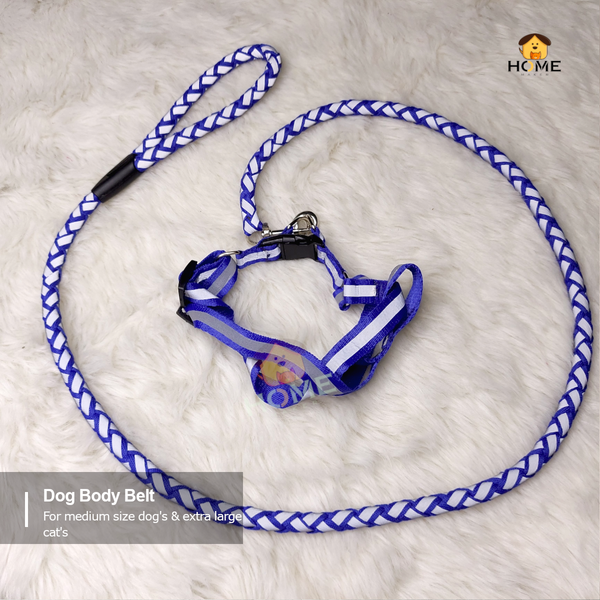 Harness