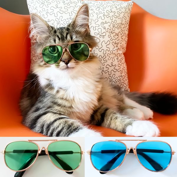 Aviator Shape sunglass