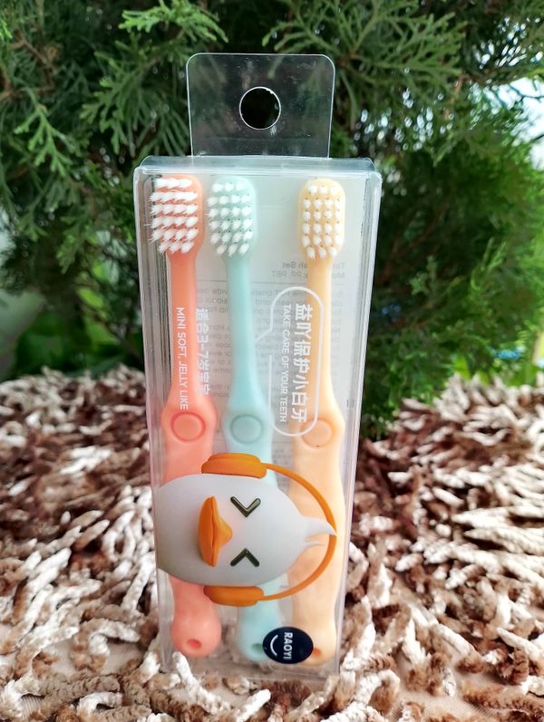 RAOYI Tooth Brush