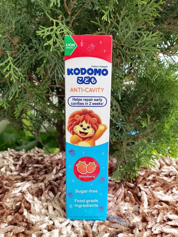 Kodomo Anti-Cavity Pest -80gm