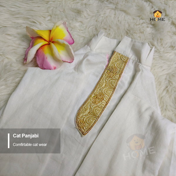 2.3 kg cat panjabi