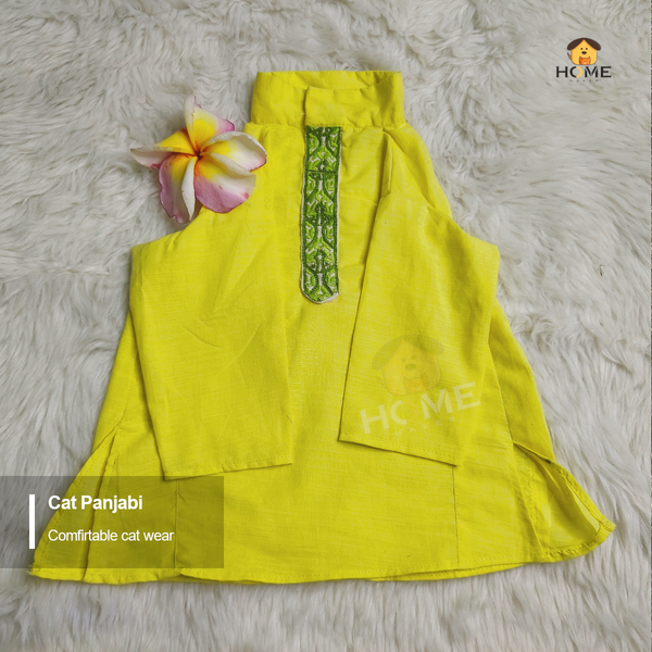 2.3 kg cat panjabi - Image 2