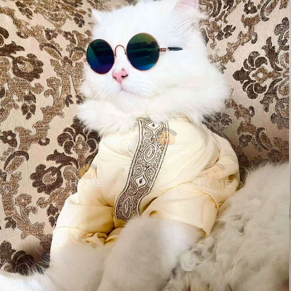 2.3 kg cat panjabi