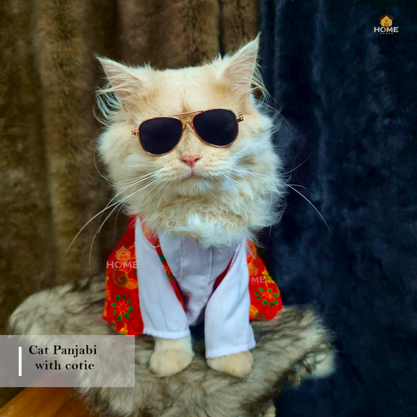 1 ,4 kg cat panjabi