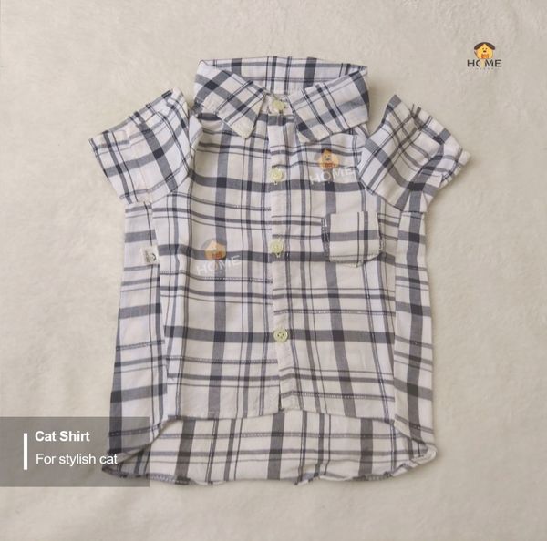 3.5 kg cat shirt