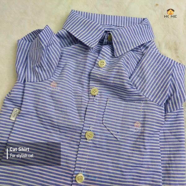 3.5 kg cat shirt