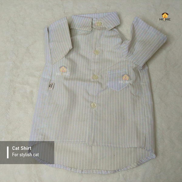 3.5 kg cat shirt